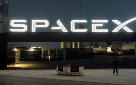 SpaceX ortaklarından sıra dışı talep: "Roketi pembeye boyayabilir miyiz?"