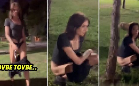 Gece parkta yaşanan olay şaşkına çevirdi! O anlar saniye saniye kaydedildi!